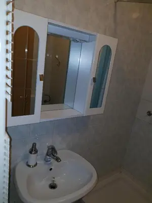 a bathroom with a sink and a mirror at Victoria Apartment in Ljubljana