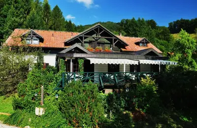 a house on a hill with trees at Natura Amon in Podčetrtek