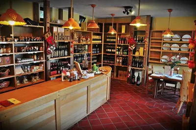 a wine shop with a counter and shelves of wine bottles at Natura Amon in Podčetrtek