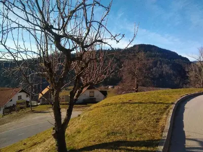 a tree on a hill next to a road at Apartment Jorsi with Mountain View in Zreče