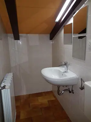 a bathroom with a white sink and a mirror at Apartment Slavi in Vipava