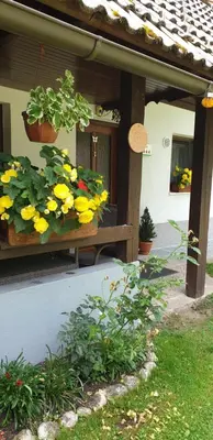 a bunch of flowers on a porch of a house at Apartment Sonce in Bohinj