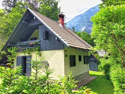 a small house in the middle of a forest at Chalet Jasmin in Bohinj