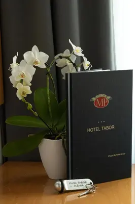 a book sitting on a table next to a potted plant at Hotel Tabor in Sežana