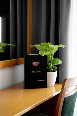 a box sitting on a table next to a plant at Hotel Tabor in Sežana