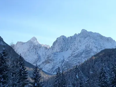 a snow covered mountain range with trees in the foreground at MaxDan Lodge in Kranjska Gora