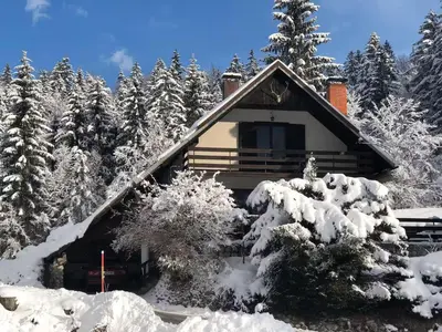 a cabin in the woods covered in snow at MaxDan Lodge in Kranjska Gora