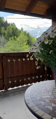 a wooden fence with a potted plant on a patio at Apartment Alpska Astra in Kranjska Gora