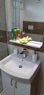 a bathroom with a white sink and a mirror at Apartment Alpska Astra in Kranjska Gora