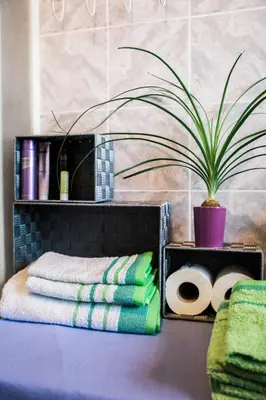 a bathroom with towels and a potted plant at Počitniška hiša Pologar in Tolmin