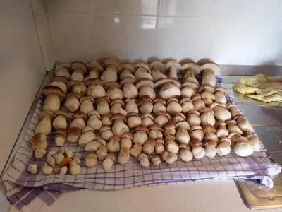 a pile of mushrooms sitting on a cooling rack at SOSTANJ VELENJE RAVNE SOBE ROOMS Vrtacnik d o o in Šoštanj