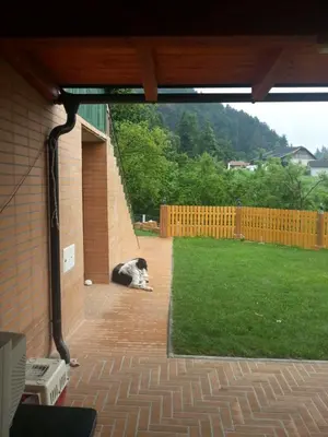 a dog laying on a brick patio at SOSTANJ VELENJE RAVNE SOBE ROOMS Vrtacnik d o o in Šoštanj