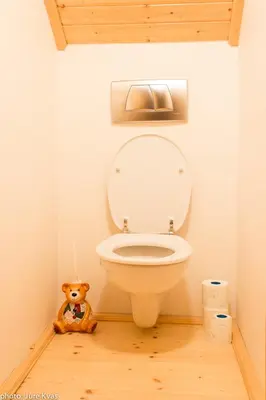 a teddy bear sitting in a bathroom with a toilet at Chalet Klara in Resnik