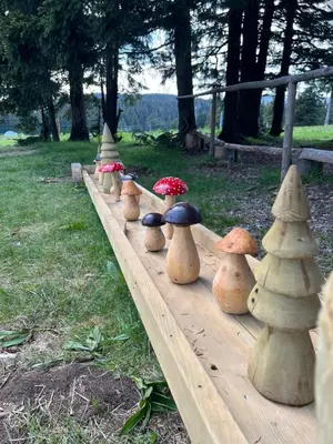 a row of wooden mushrooms on a wooden path at Chalet Klara in Resnik