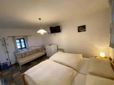 a living room with a bed and a couch at Apartments Mali Raj in Dolenci