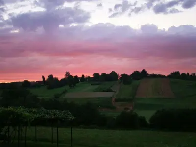 a view of a field with a sunset in the background at Apartments Mali Raj in Dolenci