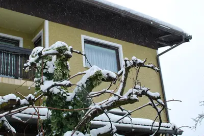 a tree covered in snow in front of a house at Farm Stay Bogša in Ormoz