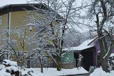 a house with snow covered trees in front of it at Farm Stay Bogša in Ormoz