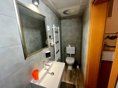 a bathroom with a sink and a toilet and a mirror at Peter rooms in Ljubljana