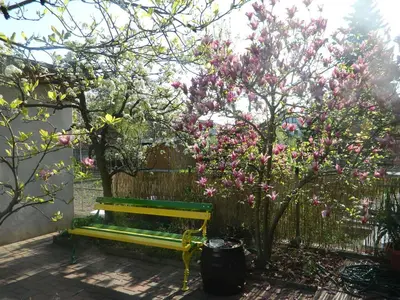 a yellow bench in front of a fence with pink flowers at Peter rooms in Ljubljana