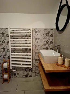 a bathroom with a white sink and a mirror at Apartments Vidic in Bled