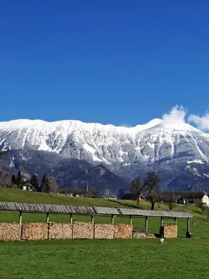 a field with a fence and a snow covered mountain at Apartments Vidic in Bled