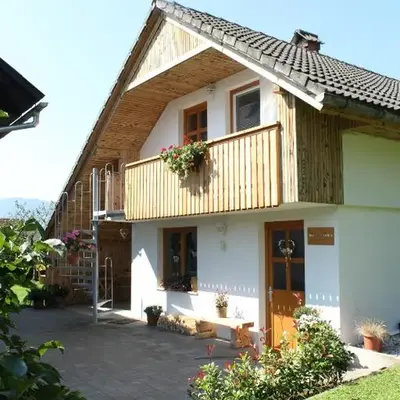 Apartments Vidic