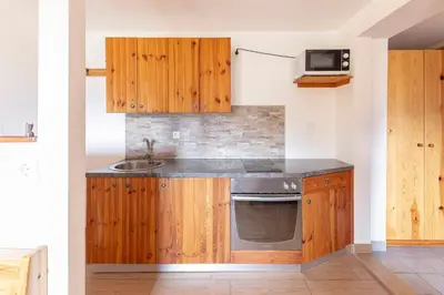 a kitchen with wooden cabinets and a sink at Apartmaji Hodak in Bohinj