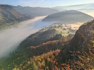 a foggy valley in the mountains with trees at Apartmaji Hodak in Bohinj