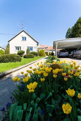 a bunch of yellow flowers in front of a house at Apartma in Ormoz