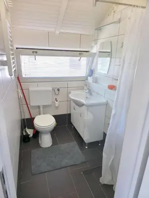 a small bathroom with a toilet and a sink at Cozy Cabin in Čatež ob Savi