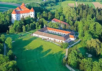 an aerial view of a large building on a green field at Cozy Cabin in Čatež ob Savi