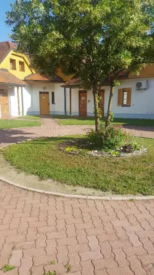 a tree sitting in the middle of a brick road at TULPIKA 13 in Moravske Toplice