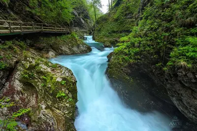 a river flowing under a bridge in a forest at Sky in Bled