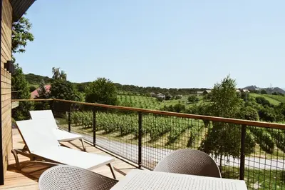 a balcony with chairs and a view of a vineyard at Tri lučke Hotel & Restaurant in Krško