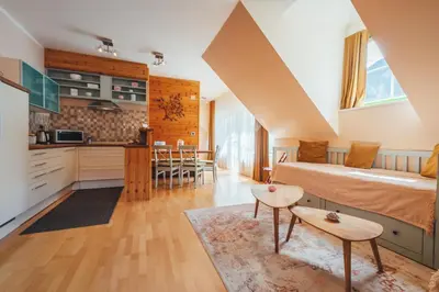 a large room with a bed and a kitchen at Guest House EJGA in Jesenice