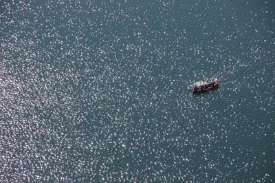 a boat in the middle of a body of water at Bled4U Apartment in Bled