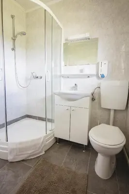 a bathroom with a shower and a toilet and a sink at Prenočišče Šinkec Nada in Moravske Toplice