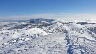 a view of a snow covered mountain with trees at Chalet Gorenjka - Velika planina in Stahovica