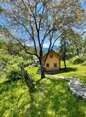 a tree in the grass next to a house at Holiday house Jereka -Bohinj in Bohinj