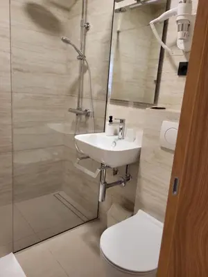 a bathroom with a shower and a sink and a toilet at Penzion Tavcar in Ljubljana