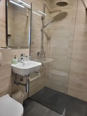 a bathroom with a sink and a shower at Penzion Tavcar in Ljubljana