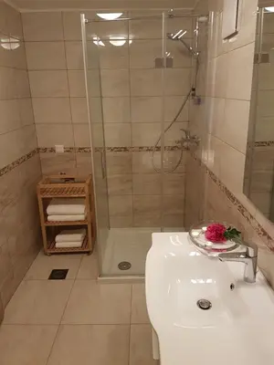 a bathroom with a shower and a sink and a toilet at Apartment Eden Bled in Bled