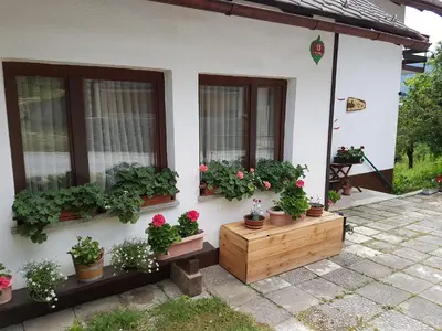 a house with potted plants on the side of it at Apartment Eden Bled in Bled