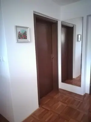 a hallway with a door and a mirror at Apartment Countryside Kolpa-Bela krajina in Metlika