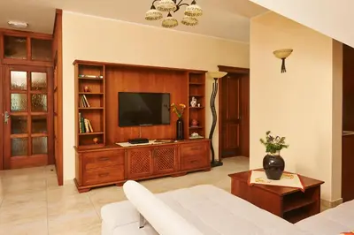 a living room with a television on a wooden entertainment center at Tourism Tompa in Ljutomer