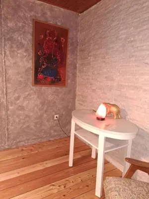 a table with a toy animal on top of it at House Franja in Kranjska Gora