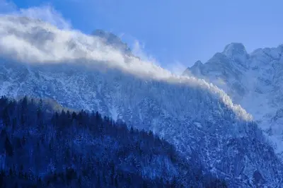 a mountain covered in snow with trees on it at Apartma in Bungalov Jezerci in Gozd Martuljek