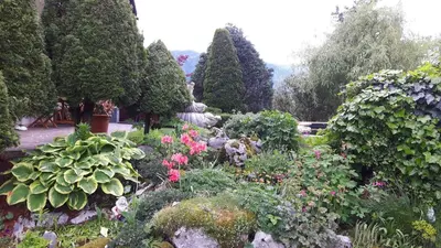 a garden filled with lots of plants and flowers at Apartments Magdalena in Radovljica