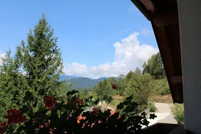 a view of a christmas tree from a window at Šport center Prodnik in Ljubno